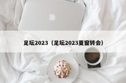 足坛2023（足坛2023夏窗转会）