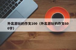 外出游玩的作文100（外出游玩的作文600字）