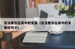 生活要乐在其中的文案（生活要乐在其中的文案短句子）