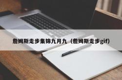 詹姆斯走步集锦九月九（詹姆斯走步gif）