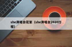 she演唱会花絮（she演唱会2020行程）